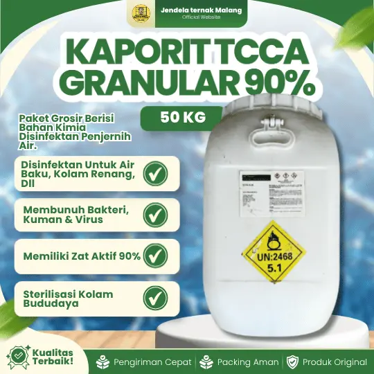 KAPORIT TCCA GRANULAR 90% 1 DRUM 50 KG – Untuk Penjernih Air Kolam Renang Berkualitas.