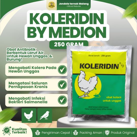 KOLERIDIN 250 GRAM BY MEDION - Untuk Ayam Dan Burung Mengalami Diare Hijau, Putih Dan Kolera.