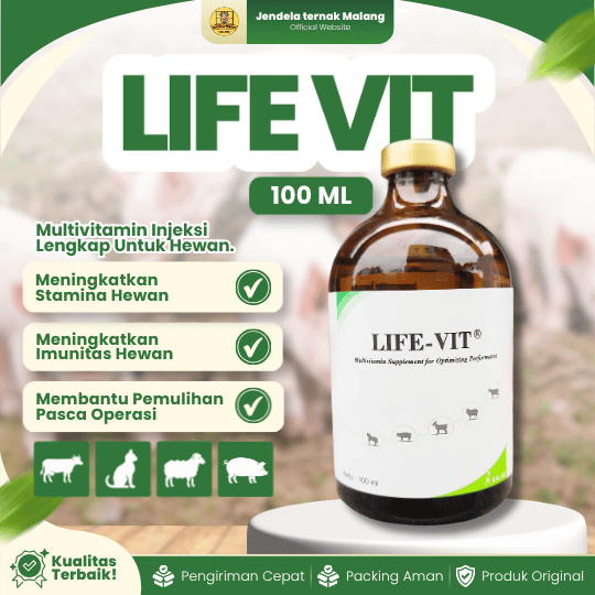 LIFE VIT 100 ML BY KALBE - Multivitamin Lengkap Mengandung Vit A, D3, B Complex, Vit C Dan K.