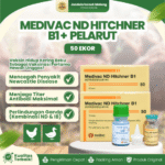 MEDIVAC ND HITCHNER B1 DOSIS 50 EKOR + PELARUT BY MEDION - Mengurangi Resiko Kematian Ayam & Unggas.