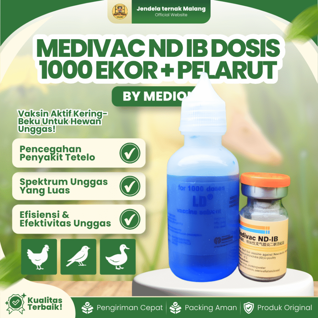 MEDIVAC ND IB DOSIS 1000EKOR + PELARUT BY MEDION -  Infeksius Bronkitis Dan Telo Tetelo Unggas.