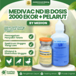MEDIVAC ND IB DOSIS 2000 EKOR + PELARUT BY MEDION –  Infeksius Bronkitis Dan Telo Tetelo Unggas.