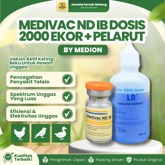MEDIVAC ND IB DOSIS 2000 EKOR + PELARUT BY MEDION -  Infeksius Bronkitis Dan Telo Tetelo Unggas.