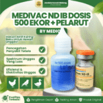 MEDIVAC ND IB DOSIS 500 EKOR + PELARUT BY MEDION –  Infeksius Bronkitis Dan Telo Tetelo Unggas.