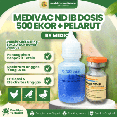 MEDIVAC ND IB DOSIS 500 EKOR + PELARUT BY MEDION –  Infeksius Bronkitis Dan Telo Tetelo Unggas.