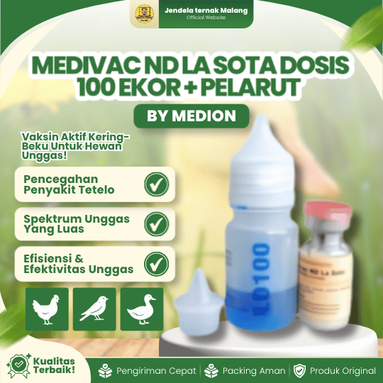 MEDIVAC ND LA SOTA DOSIS 100 EKOR + PELARUT BY MEDION - Telo Tetelo Vaksin Untuk Unggas.