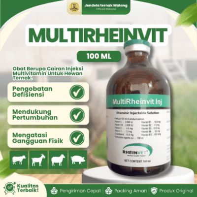 MULTIRHEINVIT 100 ML INJ –  Multivitamin Untuk Mencegah Dan Mengobati Gangguan Pertumbuhan Hewan.