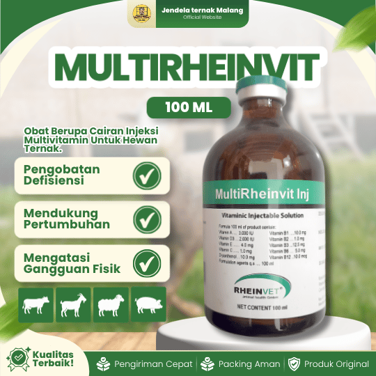 MULTIRHEINVIT 100 ML INJ -  Multivitamin Untuk Mencegah Dan Mengobati Gangguan Pertumbuhan Hewan.
