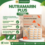 NUTRAMARIN PLUS 1 KAPSUL - Mencegah Gangguan Liver Hati Untuk Kucing & Anjing