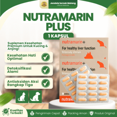 NUTRAMARIN PLUS 1 KAPSUL – Mencegah Gangguan Liver Hati Untuk Kucing & Anjing