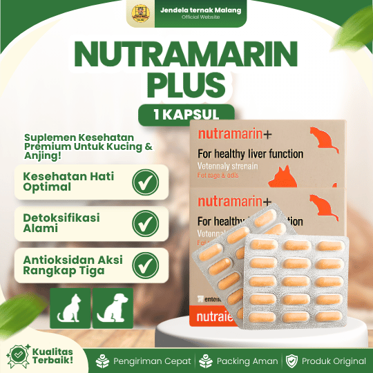 NUTRAMARIN PLUS 1 KAPSUL - Mencegah Gangguan Liver Hati Untuk Kucing & Anjing