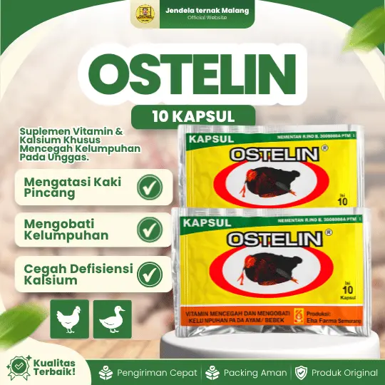 OSTELIN 10 KAPSUL BY EKA FARMA – Vitamin Untuk Masalah Lumpuh Pada Ayam, Bebek, Burung Dan Unggas.