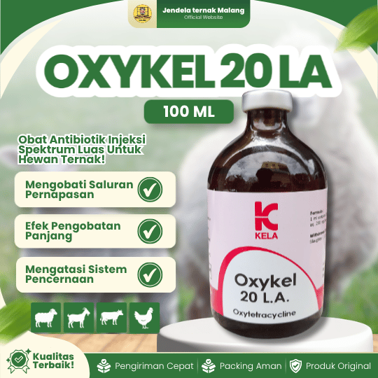 OXYKEL 20 LA 100 ML - AB Pencernaan Dan Pernafasan Like Medoxy, Vetoxy, Limoxin.
