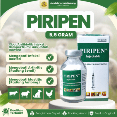 PIRIPEN 5,5 GRAM – Pen N Strep Serbuk – Campur Dengan B Plex OR Aqwadest.