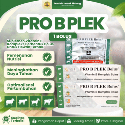 PRO B PLEK BOLUS BY VADCO – Meningkatkan Daya Tahan Tubuh Dan Mengatasi Stres Hewan Ternak.