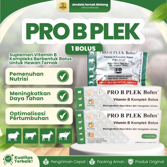 PRO B PLEK BOLUS BY VADCO - Meningkatkan Daya Tahan Tubuh Dan Mengatasi Stres Hewan Ternak.