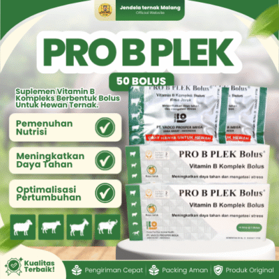 PRO B PLEX 50 BOLUS (1 BOX) – Vitamin B Komplek Untuk Hewan