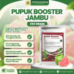 PUPUK BOOSTER JAMBU 250 GRAM – Mempercepat, Melebatkan Dan Multifungsi Buah Jambu.