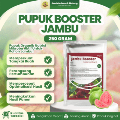 PUPUK BOOSTER JAMBU 250 GRAM – Mempercepat, Melebatkan Dan Multifungsi Buah Jambu.