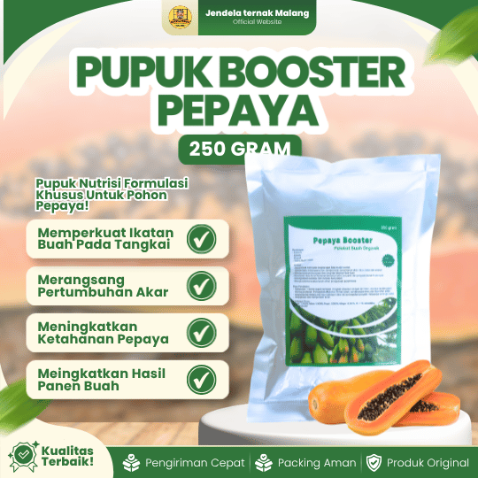 PUPUK BOOSTER PEPAYA 250 GRAM - Mempercepat, Memperbaiki Dan Multifungsi Pepaya.