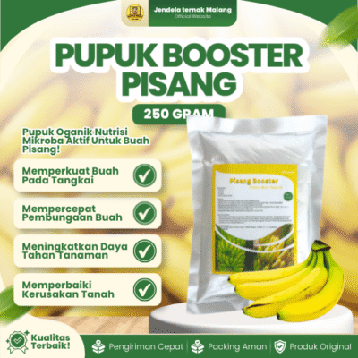 PUPUK BOOSTER PISANG 250 GRAM – Mempercepat, Melebatkan Dan Multifungsi Buah Pisang