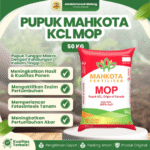 PUPUK KCL MAHKOTA MOP 50 KG – Pupuk Untuk Meningkatkan dan Kualitas Hasil Panen