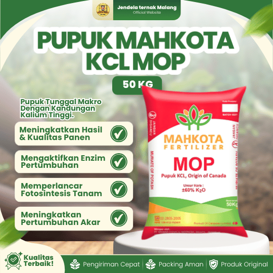 PUPUK KCL MAHKOTA MOP 50 KG - Pupuk Untuk Meningkatkan dan Kualitas Hasil Panen