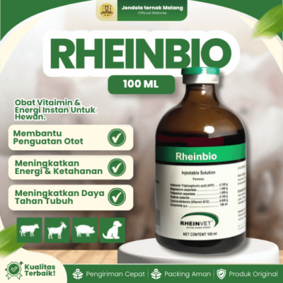 RHEINBIO 100 ML – Vitamin Untuk Mengembalikan Energi Pada Hewan Ternak
