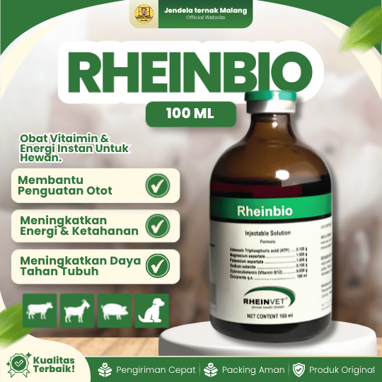 RHEINBIO 100 ML - Vitamin Untuk Mengembalikan Energi Pada Hewan Ternak