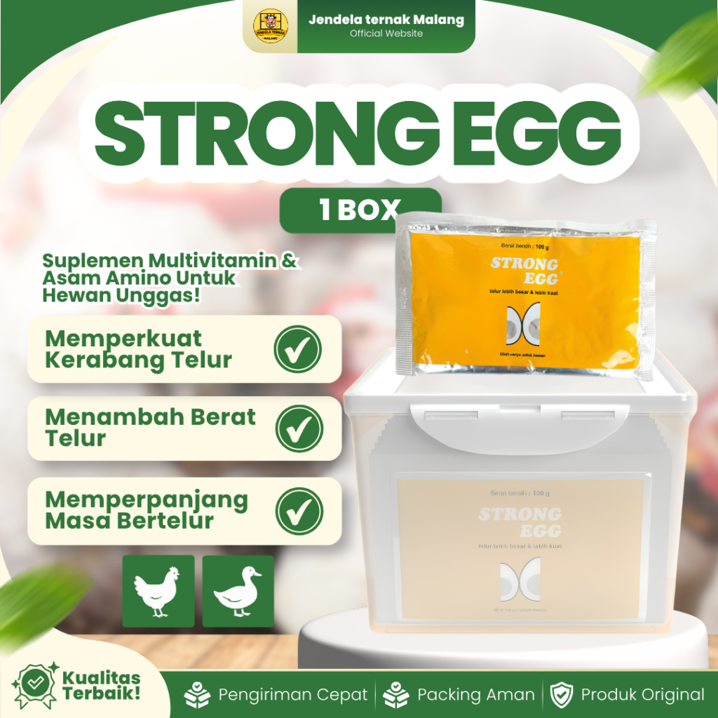 STRONG EGG 100 GRAM 1 BOX (10 SACHET) - Vitamin Peningkat Berat, Penguat Dan Memperbesar Telur.