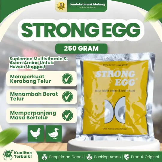 STRONG EGG 250 GRAM 1 BOX (20 SACHET) – Vitamin Untuk Peningkat Berat Dan Penguat Kerabang Telur