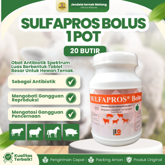 SULFAPROS BOLUS 1 POT 20 BUTIR - Untuk Atasi Diare dan Masalah Pencernaan Pada Hewan.
