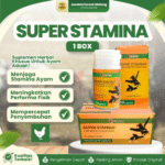 SUPER STAMINA WINNER MEDION 1 BOX (12 BOTOL) -  Suplemen Penambah Stamina Khusus Untuk Ayam