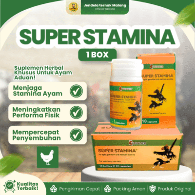 SUPER STAMINA WINNER MEDION 1 BOX (12 BOTOL) –  Suplemen Penambah Stamina Khusus Untuk Ayam