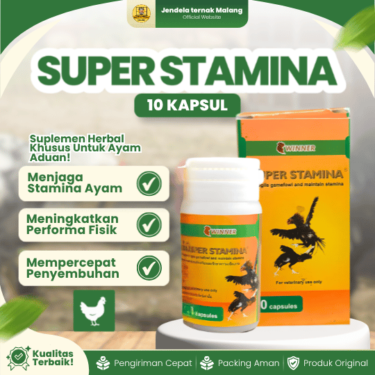 SUPER STAMINA WINNER 1 BOTOL (ISI 10 KAPSUL) BY MEDION - Penambah Stamina Dan Nafas Panjang Ayam Aduan.