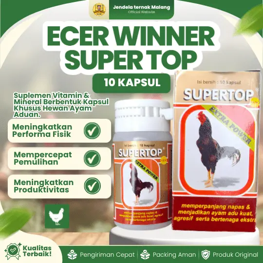 ECER WINNER SUPER TOP 10 KAPSUL BY MEDION – Supertop Menambah Daya Tubuh, Strong, Memperpanjang Nafas Dan Tahan Sakit.