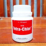 TETRA CHLOR 50 KAPSUL 1 BOX (12 BOTOL) - Untuk Masalah Pilek Batuk Snot Ngorok Crd Korisa Diare Mencret Hewan Unggas