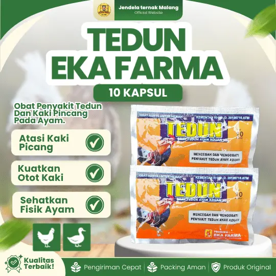 TEDUN 10 KAPSUL EKA FARMA – Untuk Ayam Turun Urat,Kaki Pincang, Bengkak Bubul, Iritasi, Luka.