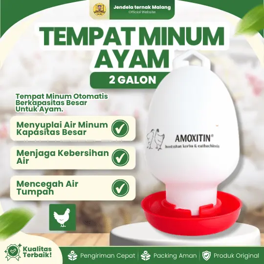 TEMPAT MINUM AYAM 2 GALON – Di Rancang Khusus Untuk Memberikan Air Minum Hewan Ternak Kesayangan.