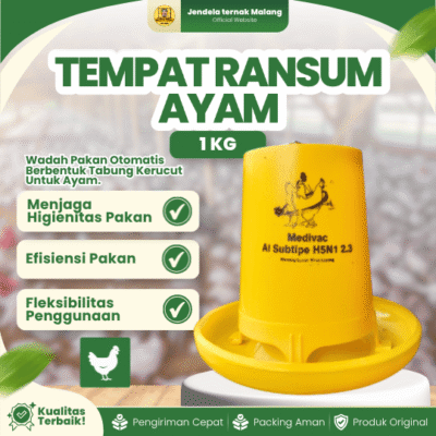 TEMPAT RANSUM AYAM 1 KG BY MEDION – Tempat Pakan Ayam Ransum Agar Lebih Fresh.