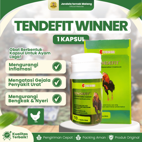TENDEFIT WINNER 10 KAPSUL BY MEDION - Atasi Turun Urat, Nyeri Otot, Dan Bengkak Ayam Laga.