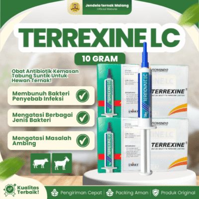 TERREXINE 1 SYRINGE 10 GRAM – Ampuh Atasi Bakterisidal, Mastitis, Laktasi Untuk Hewan Ternak