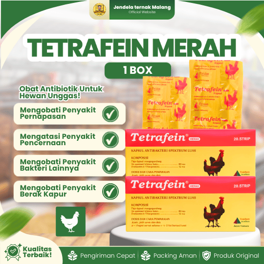 TETRAFEIN MERAH 1 BOX (ISI 20 STRIP) - Obat Anti SNOT CRD Berak Hijau Berak Putih Ayam Burung
