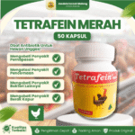 TETRAFEIN MERAH 1 POT ISI 50 KAPSUL – Untuk Masalah Snot, CRD, Berak Hijau, Putih & Antibakteri Unggas.