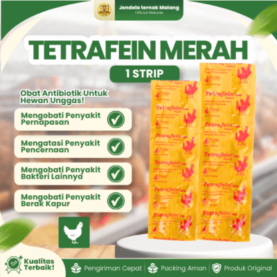 TETRAFEIN MERAH 1 STRIP (10 KAPSUL) – Obat Ayam SNOT CRD & Berak Hijau Antibakteri Ayam Burung