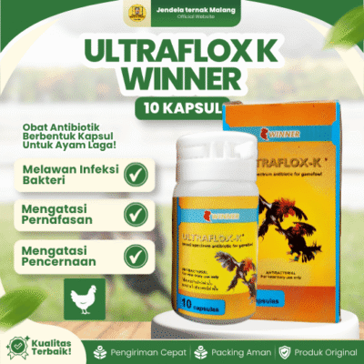 ULTRAFLOX K WINNER 10 KAPSUL BY MEDION – AB Saluran Pencernaan & Pernapasan Ayam Laga.
