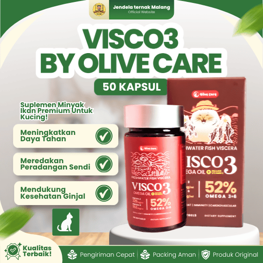 VISCO3 ISI 50 KAPSUL BY OLIVE CARE - Minyak Ikan Berkualitas Untuk Kucing Yang Tinggi Omega.