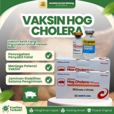 VAKSIN HOG CHOLERA (CSF) – Untuk Babi Dosis 20 Ekor.