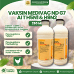 VAKSIN MEDIVAC ND G7 AI T H5N1 & H9N2 250 ML – Vaksin Ayam Dosis 500 Ekor Mencegah Tetelo.