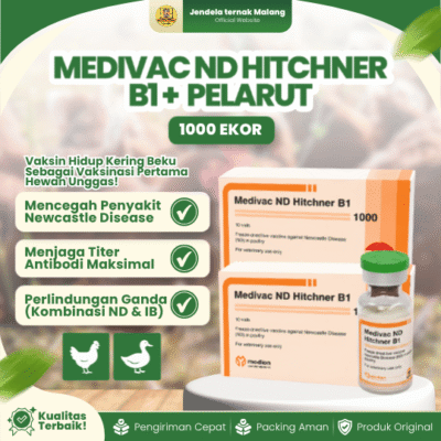 MEDIVAC ND HITCHNER B1 DOSIS 1000 EKOR + PELARUT BY MEDION – Mengurangi Resiko Kematian Ayam Unggas